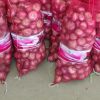 buy onions in bulk