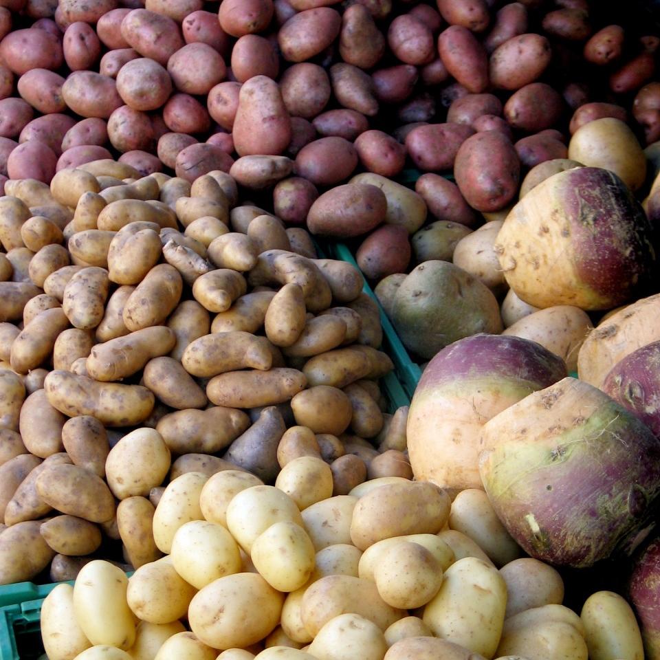 Calories in 1 lb of Potatoes – Common Potato Varities Nutrition Breakdown