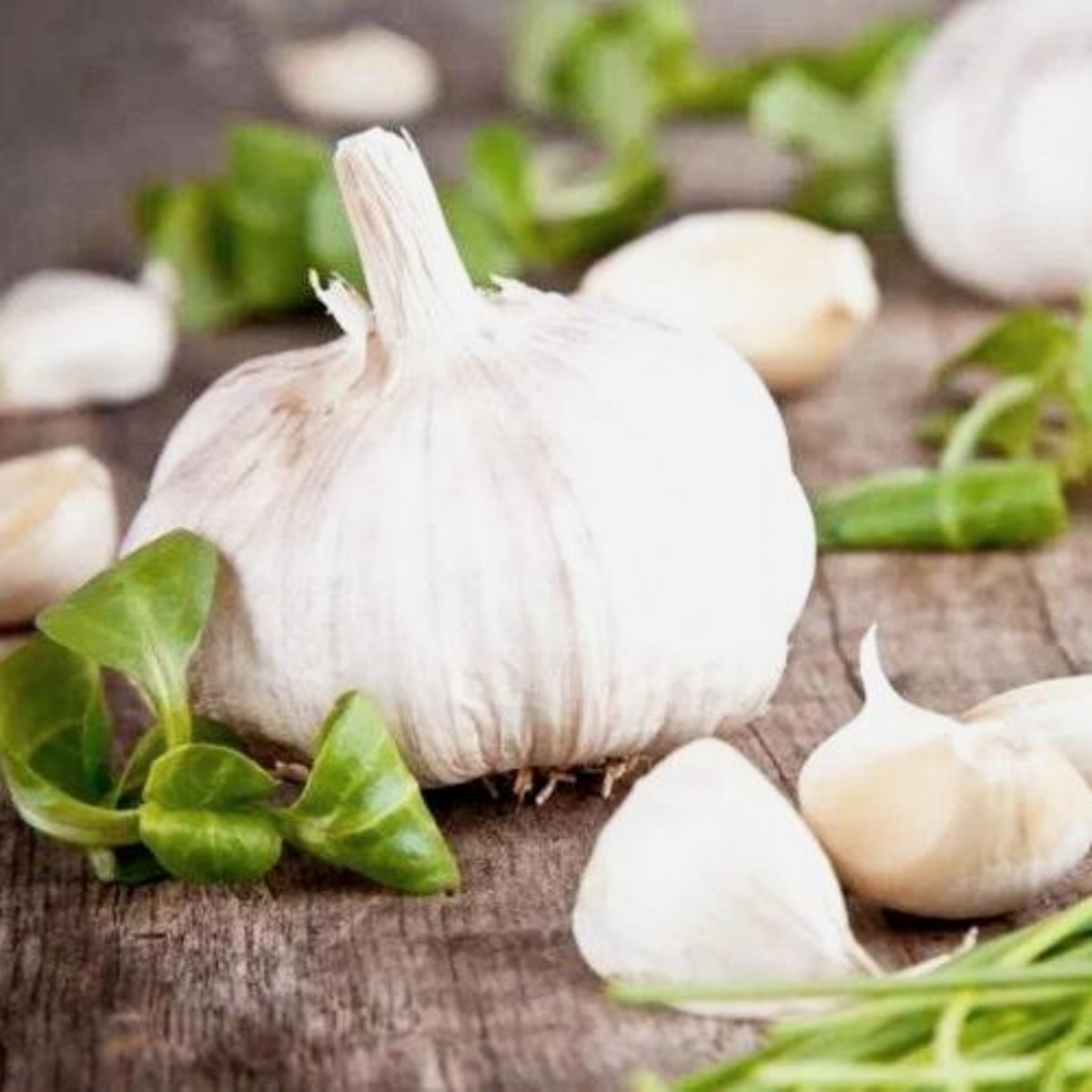 Ultimate guide to Garlic Weight: explore bulb grades, clove counts, weight & volume conversions, popular varieties, and quick-reference tables for perfect measurements