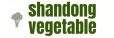 shandong vegetables