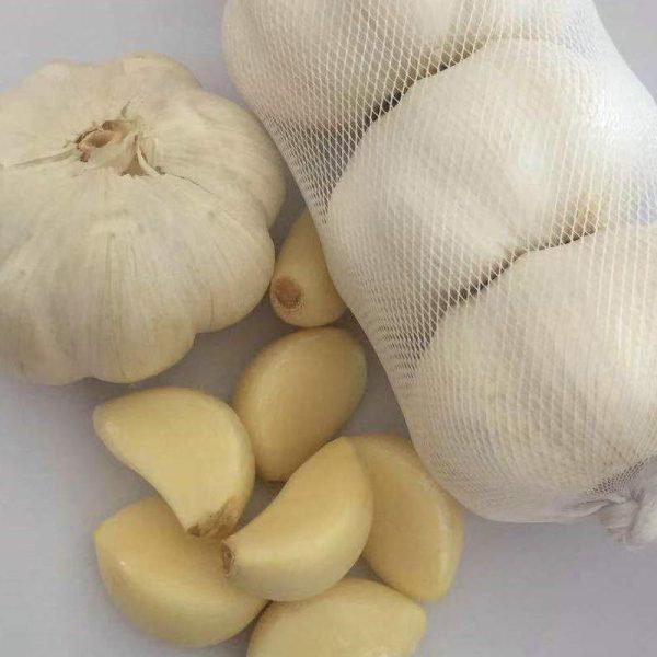 fresh shandong potatoes in bulk