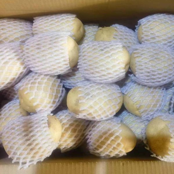 fresh shandong potatoes in bulk