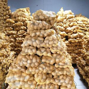 fresh shandong potatoes in bulk