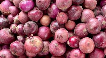 How Much Does Bulk Onions Cost? Real Cost Analysis with Global Buyer Scenarios