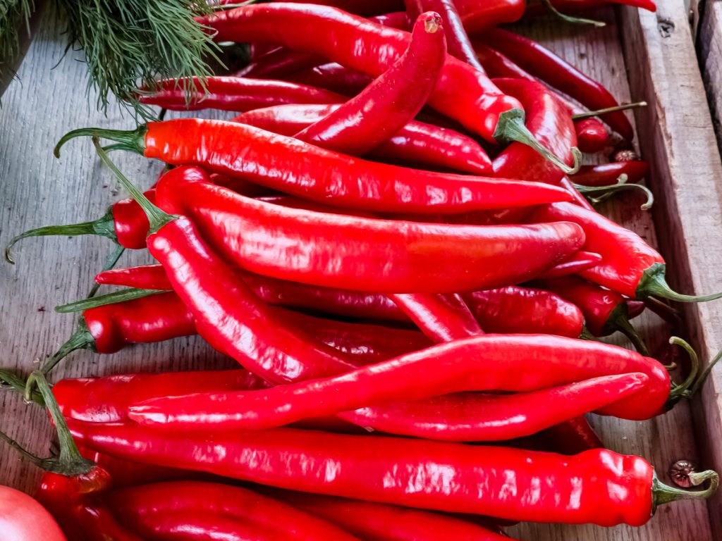 shandong chilli papper in bulk