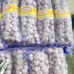 shandong garlic in bulk