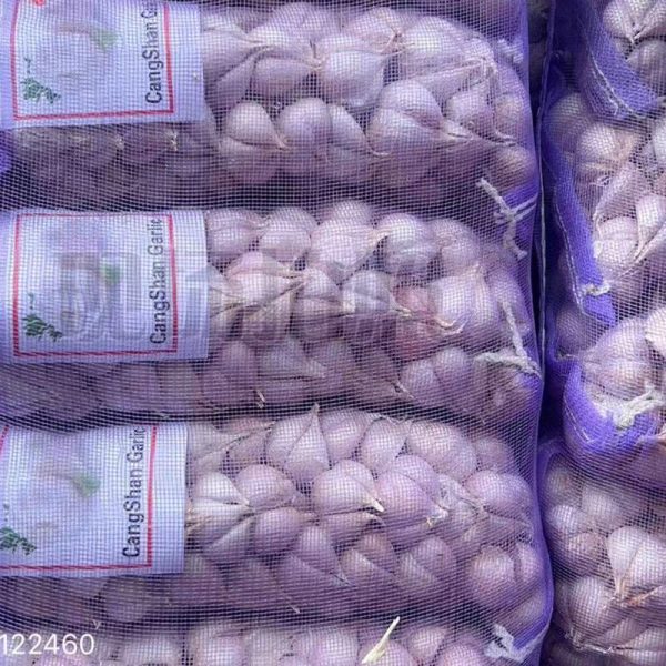 shandong garlic in bulk