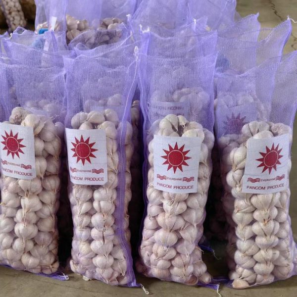 shandong garlic in bulk