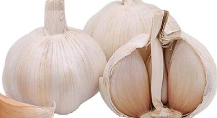 China Garlic Prices Shift Again: Market Trends and Forecast (as of June 2025)