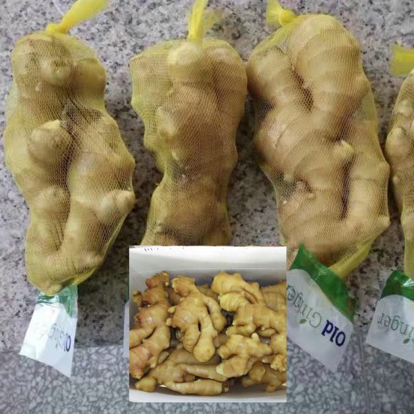 shandong yellow ginger
