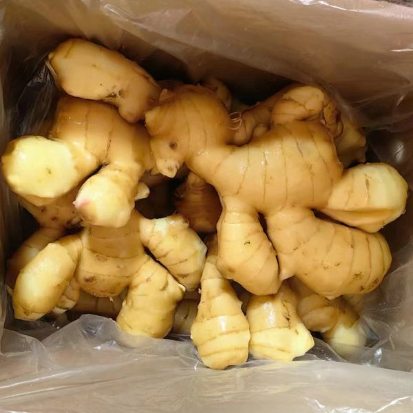 shandong yellow ginger