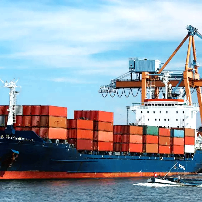 vegetables shipping vegetables shipping